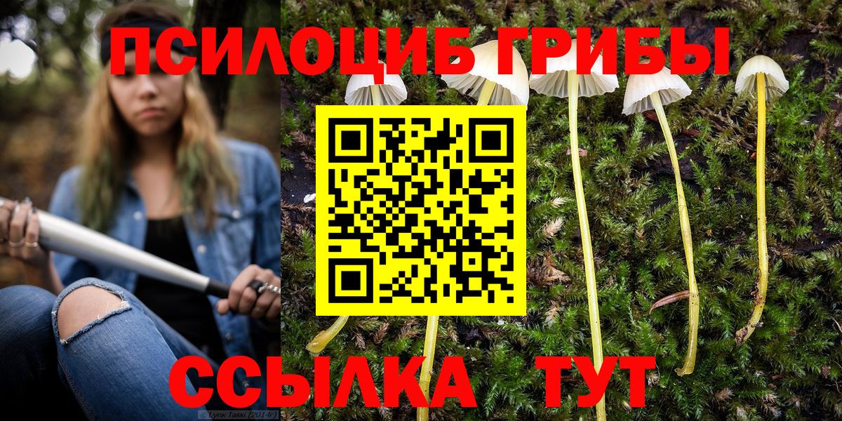 Домодедово  Псилоцибиновые грибы GOLDEN TEACHER  Вход с VPN  Псилоцибиновые грибы Magic Shrooms 