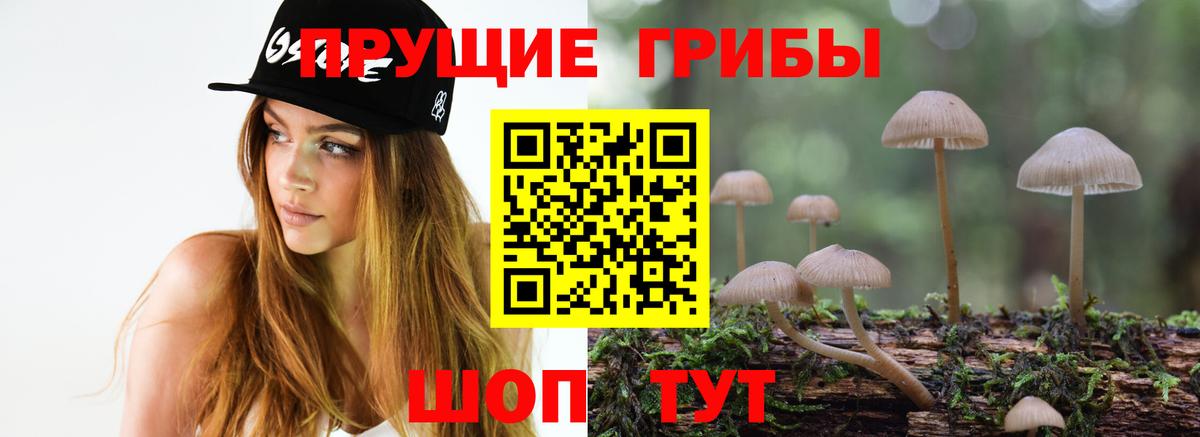 Галлюциногенные грибы Cubensis Домодедово